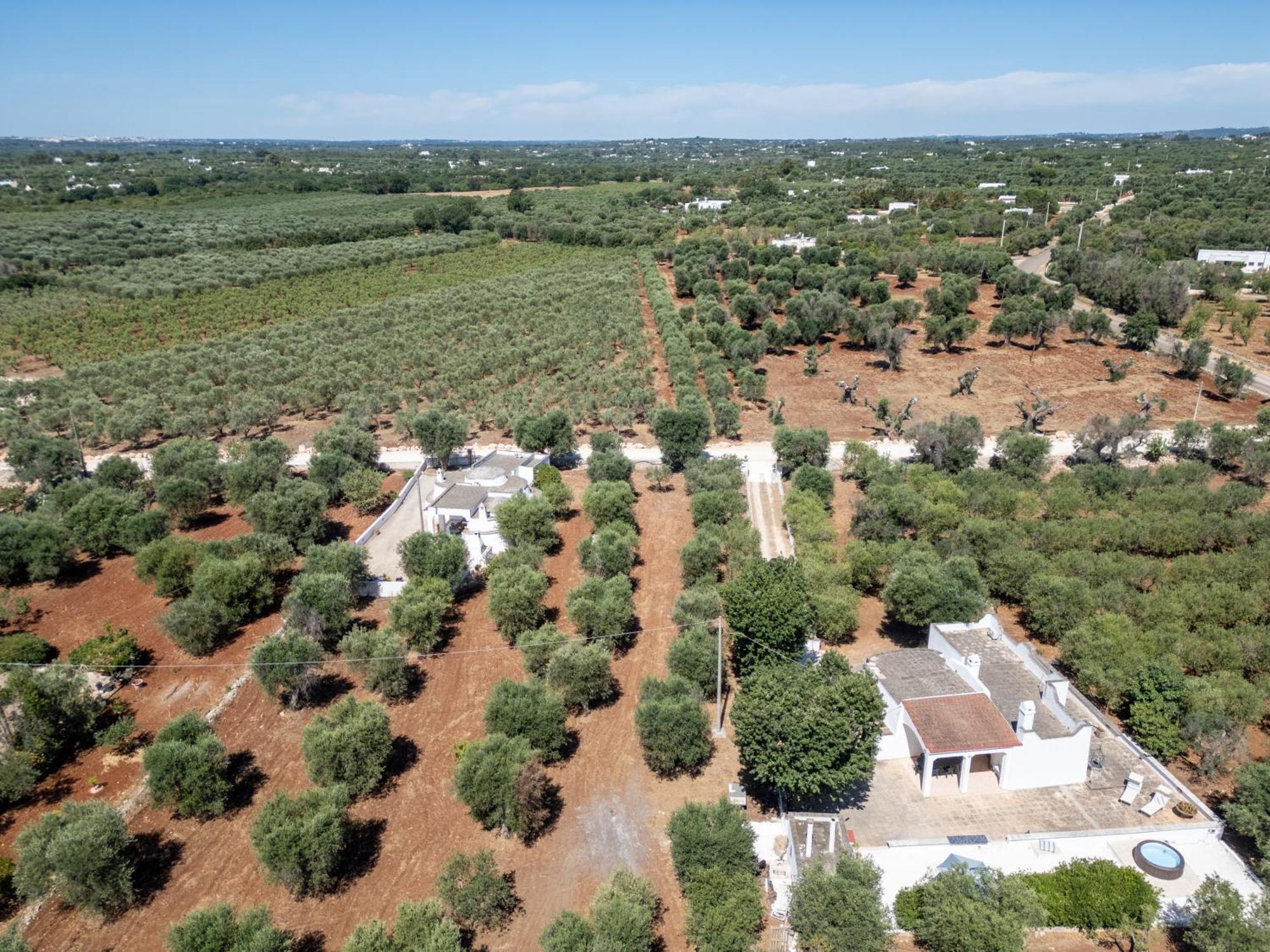 فيلا Trullo La Quercia أوستوني المظهر الخارجي الصورة